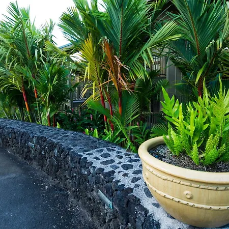 Hana Kai Maui - #202 Alau Upper Floor Lofted Studio Exterior photo